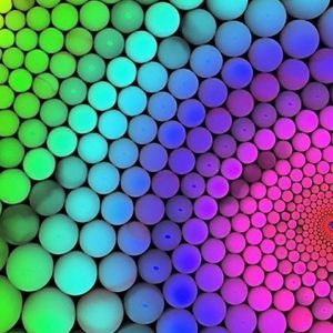 Meet your Posher, Carrie